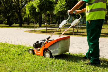 worker is cutting the grass with a lawn mower