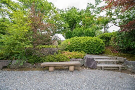 Traditional Japanese garden and Japanese rock garden in Tenryū-ji Temple