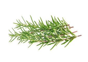 Rosemary isolated on white background