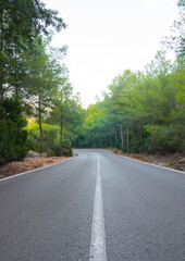 Road going through a forest. Beautiful countryside, driving into the wild. Escaping from life, simply on the road. Vertical shot. Perfect geometry.