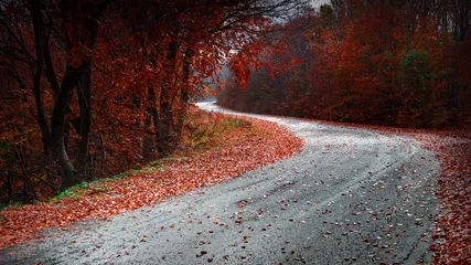 Fototapeten Braun winding red autumn forest road   © christos