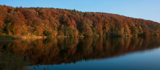 bunt verfärbter Herbst Wald am See mit schöner Spiegelung auf der Wasseroberfläche, Panorama