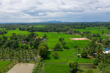 Fototapeta na wymiar A top down aerial view of a small country town with traditional houses with orange roofs, a red dirt road, rice fields, and palm trees in the jungle in Cambodia.