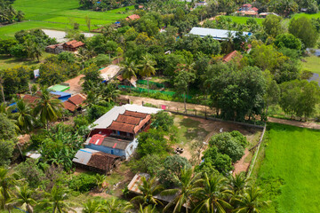 Fototapeta na wymiar A top down aerial view of a small country town with traditional houses with orange roofs, a red dirt road, rice fields, and palm trees in the jungle in Cambodia.