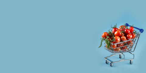 juicy tomatoes in shopping cart on blue paper background. Copy space.Trendy minimal style. Long wide banner © mars58