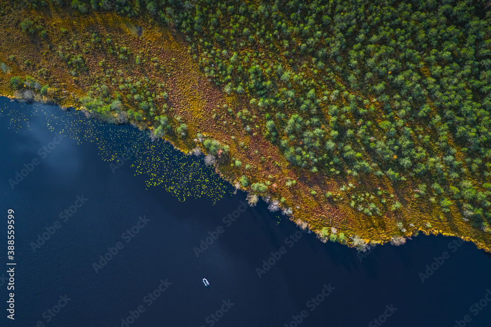 Wall mural Aerial view of blue lake with a fishing boat and green forests