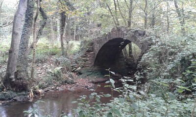 an old bridge in the forest