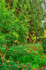 Fototapeta na wymiar Alhambra Gardens, Granada, HDR Image