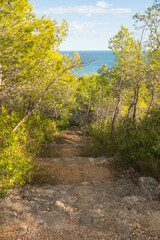 Beautiful hike path into the wild, a pine forest and the sea in backdrop. Peaceful atmosphere and charming nature with sunlight. Vertical shot. Serra d'Irta natural park, Alcossebre, Spain.