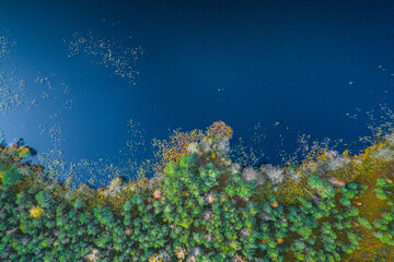 Aerial view of blue lake and green forests
