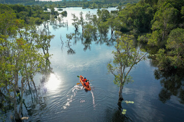 Aerial view of tourists, canoe or kayak in mangrove forests. Rayong Botanical Garden, tropical...