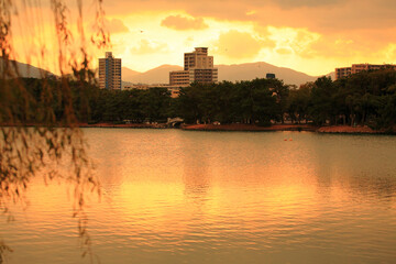 Fototapeta premium 大濠公園夕景