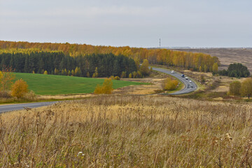 road through the forest and field in autumn