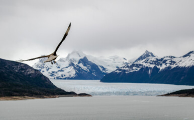 libertad sobre el glaciar