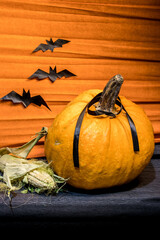 The Pumpkin and the bats