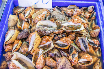 saefood market in Naklua Thailand