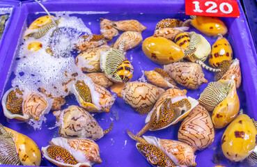 saefood market in Naklua Thailand
