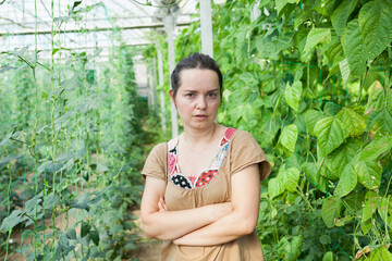 Portrait of woman owner of hothouse business standing near growing vegetables