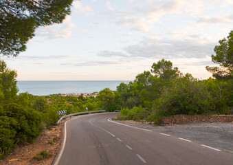 Road going through a pine tree forest. Beautiful countryside, driving into the wild. Escaping from life, simply on the road. Peaceful.