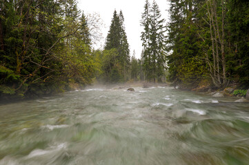 górski strumień płynący przez las, mgła unosząca się nad wodą w skutek różnicy tempearuy...
