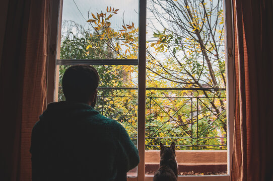 Man Sitting Next To His Cat, Looking Out The Window At The Autumn Trees Over The City, Yellow Trees. A Cold Autumn Afternoon