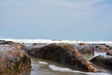 diques naturales de mar 