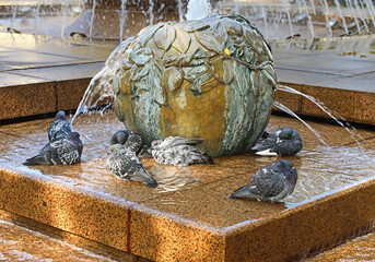 Fototapety na wymiar - Fototapeta24.pl