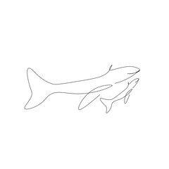 Whale family line drawing. Vector illustration