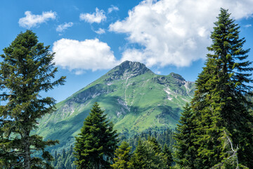 Obraz premium mount hood state