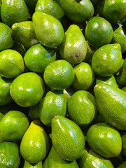 avocado on the market