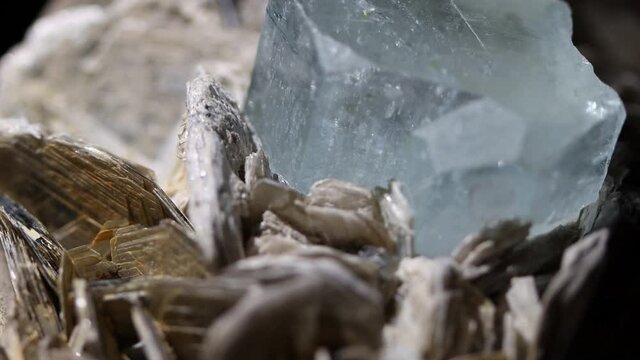 A detail shot of an aquamarine crystal showing the emergence from the matrix of muscovite. Sample from Argentina.