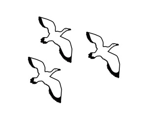 A flock of birds on a white background. Sketch. Vector illustration.