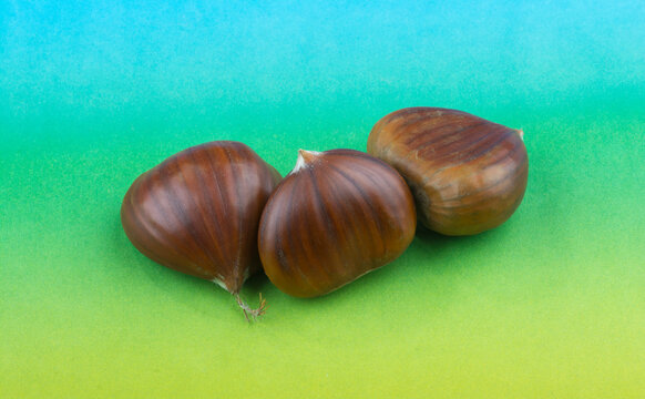 Marone Bilder Durchsuchen 3,015 Archivfotos, und