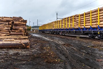 Timber on the freight train. Transportation and sustainable development theme. Autumn foggy morning...