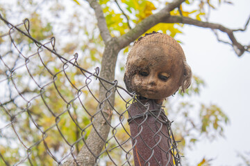 dirty head of an old plastic doll on the fence
