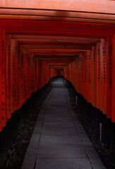 Fototapeta premium A pathwalk lined with orange Torii gates at Fushimi Inari Shrine in Kyoto in Japan