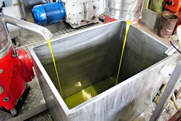 Extra virgin olive oil extraction process in olive oil mill in Greece, November 1 2019.