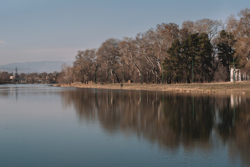 Leafless forest by the lake