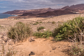 Vulcanic based desert landscape at Jandia around La Pared
