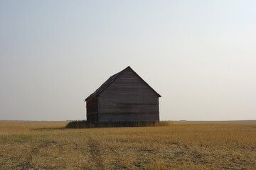 Old abandoned grain house in field 