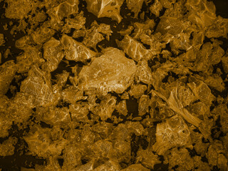 Soluble coffee powder, scanning electron microscopy