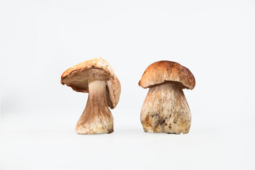 Beautiful fresh porcini mushrooms  on white background isolated season healthy food 