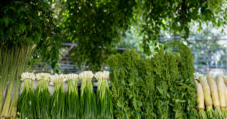 cebolletas y romeritos