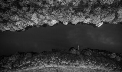 River and autumn forest aerial view