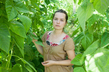 Confident female gardener checking plants while gardening in glasshouse