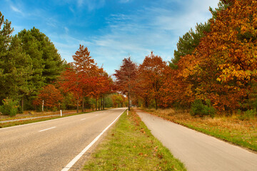 Autumn colorfull scenery from a road and trees, photo made on 28 october 2020 in Weert the Netherlands