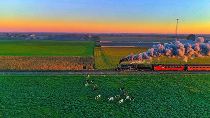 Aerial View of Steam Passenger Train at Sunrise Traveling Thru Amish Countryside with Cows Running away