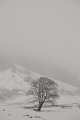 Paisaje de montaña nevado en invierno