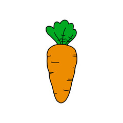Carrot vector icon. Carrot icon isolated on white background.