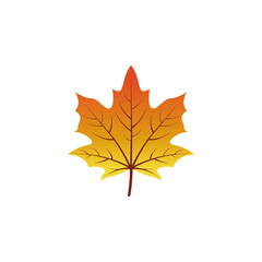 Obraz premium Maple leaf icon vector illustration